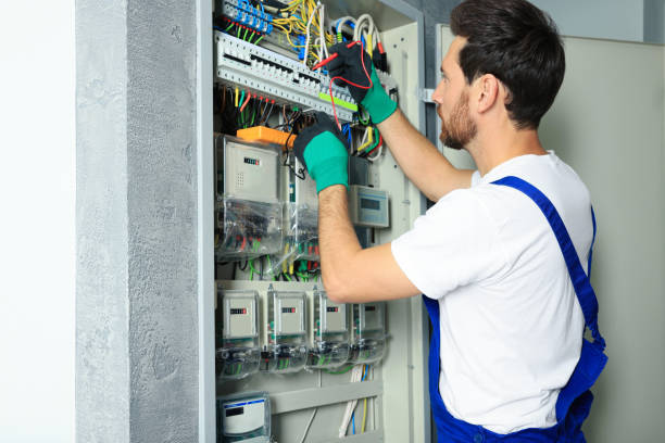 Best Electric Panel Repair  in Barnesville, MN